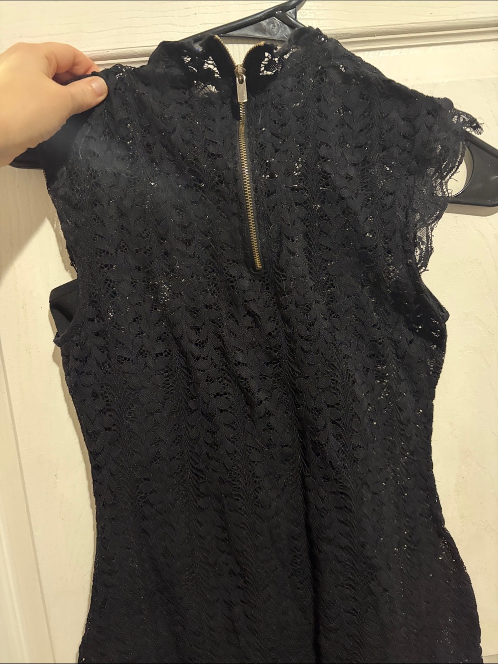 Dynamite Black Lace Mini Dress with Gold Back Zip